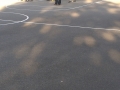 IMAG0156