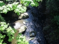 IMG_4357