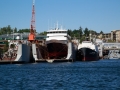 TAPS Cruise-57