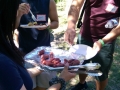 small-IMAG0223